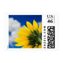 Sunflower Postage Stamp by TDSwhite Sunflower Postage Stamp
