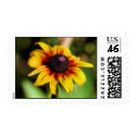 Sunflower Postage Stamps by janoka Sunflower Postage Stamps