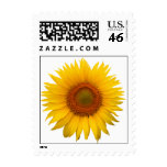 Sunflower Postage Stamps