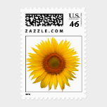 Sunflower Postage Stamps stamps