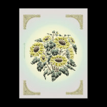 Sunflower Postcard postcards
