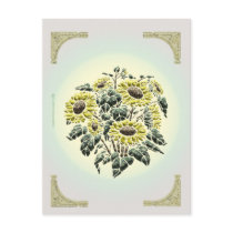 Sunflower Postcard by Rockangel1 Sunflower Postcard