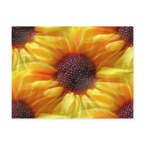 Sunflower,Postcard by KLaima Sunflower,Postcard