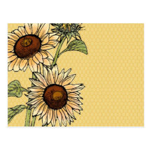 Sunflower Postcard