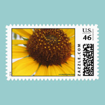 Sunflower Postcard Postage Stamp stamps