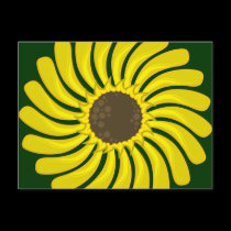 Sunflower Postcards postcards