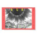 Sunflower posters