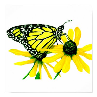 Sunflower Poster by fstasu54