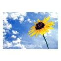 Sunflower posters