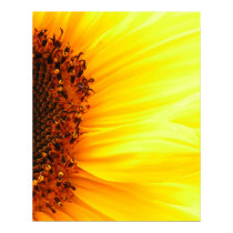 Sunflower posters