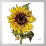 Sunflower posters