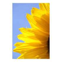 Sunflower posters