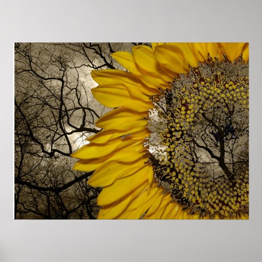 sunflower print