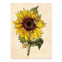 Sunflower Poster posters by ArtbyJean Sunflower Poster posters