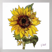 Sunflower Posters