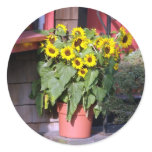 Sunflower Pot Round Stickers