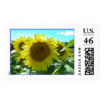 Sunflower Power--Stamp