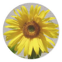 Sunflower Power! stickers by Sunflower_Power Sunflower Power! stickers