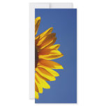 Sunflower Custom Rack Cards