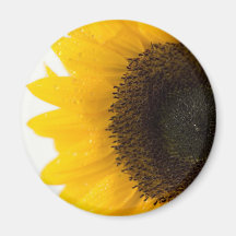 sunflower refrigerator magnet