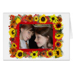 Sunflower Ribbon Photo Greeting Card cards