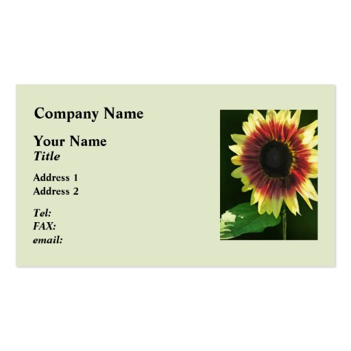 Sunflower Ring of Fire Closeup Business Card Templates (front side)