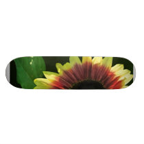 Sunflower Ring of Fire skateboards