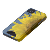 Sunflower Rising iPhone 4 Case-Mate ID