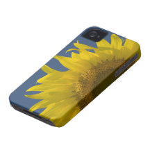 Sunflower Rising iPhone 4 Case-Mate ID