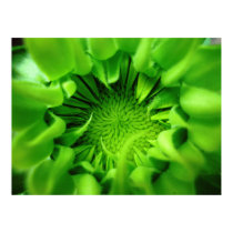 Sunflower Seed Pod Macro posters