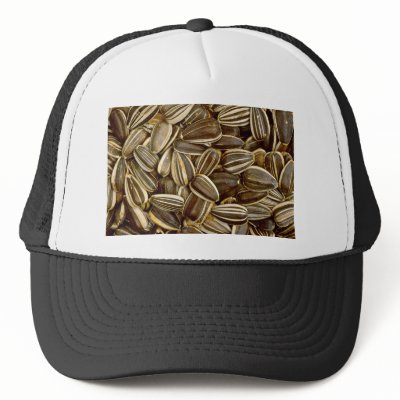 Zazzle