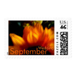 Sunflower • September Wedding Stamp