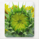 Sunflower Series mousepads