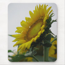 Sunflower Series mousepads