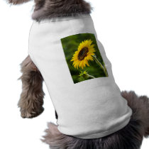 Sunflower Sideshot pet clothing