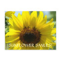 SUNFLOWER SMILES Postcards Floral Sun Flowers