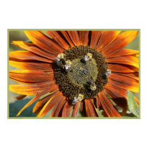 SUNFLOWER SOIREE posters by dequilla SUNFLOWER SOIREE posters