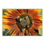 SUNFLOWER SOIREE