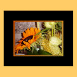 Sunflower special framed print