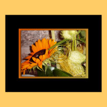 Sunflower special framed print posters