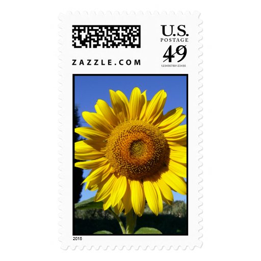 Sunflower Stamp 