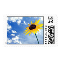 Sunflower Stamp