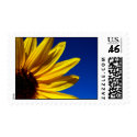 Sunflower Stamp by WanderLinArts Sunflower Stamp