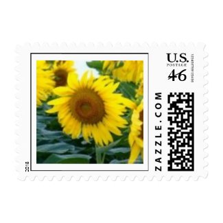 Sunflower Stamps stamp