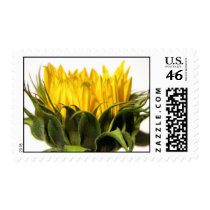 Sunflower Stamps