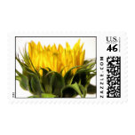 Sunflower Stamps