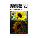 Sunflower Stamps by DoreenRandal Sunflower Stamps