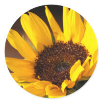 Sunflower stickers