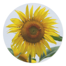 Sunflower stickers