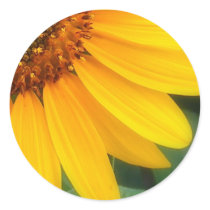 Sunflower stickers